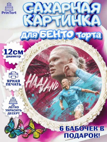 Сахарные круги 12см PT05, Холланд, Футболист Холланд, Девочка, Без конкретного повода, арт. PT0526310