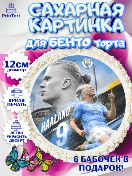 Сахарные круги 12см PT05, Холланд, Футболист Холланд, Девочка, Без конкретного повода, арт. PT0526311