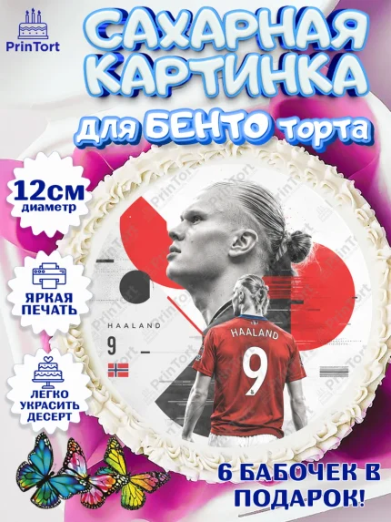 Сахарные круги 12см PT05, Холланд, Футболист Холланд, Девочка, Без конкретного повода, арт. PT0526312