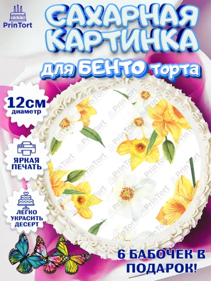Сахарные круги 12см PT05, 8 марта, Международный женский день, Девочка, арт. PT0526842