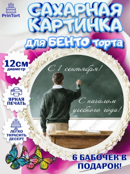 Сахарные круги 12см PT05, 1 сентября учителю, Девушка, День знаний 1 сентября, арт. PT0526946