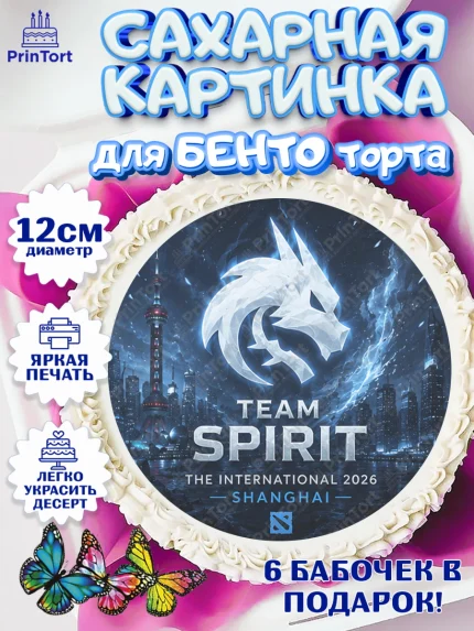 Сахарные круги 12см PT05, The International, Dota 2, Мальчик, День рождения, арт. PT0527380