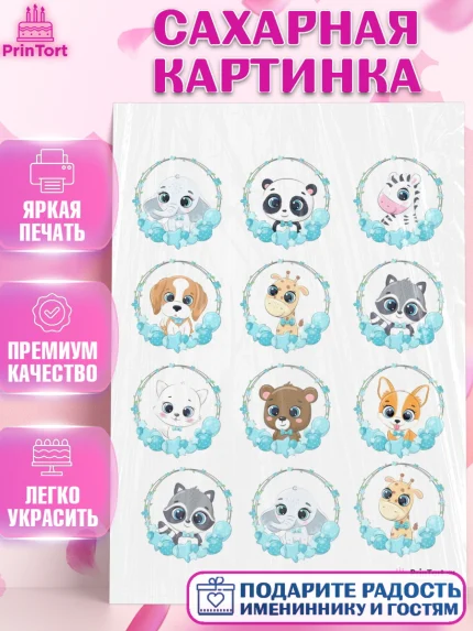 Сахарная картинка, Малышам, Мальчику день рождения, Мальчик, День рождения, арт. PT100229