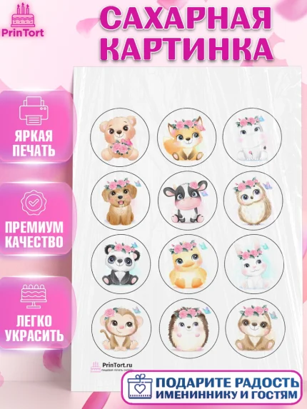 Сахарная картинка, Малышам, Девочке на день рождения, Мальчик, День рождения, арт. PT100233