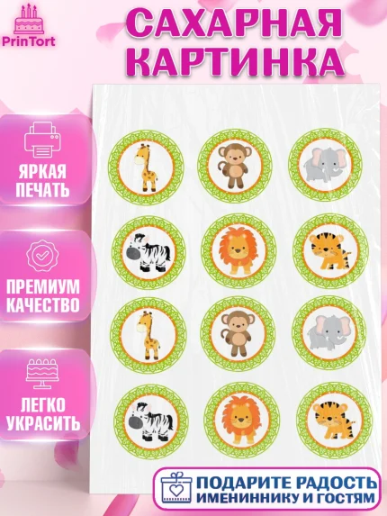 Сахарная картинка, Малышам, Девочке на день рождения, Мальчик, День рождения, арт. PT100247