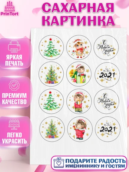 Сахарная картинка, Новый год, Девочка, арт. PT100355