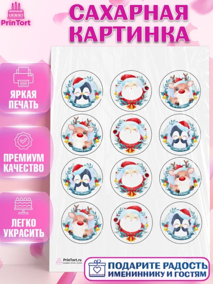 Сахарная картинка, Новый год, Девочка, арт. PT100356
