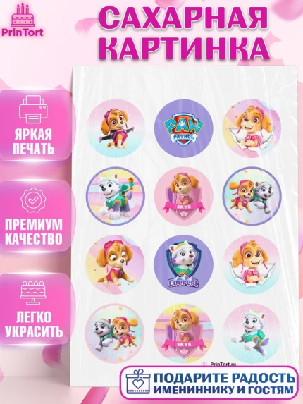 Сахарная картинка, Щенячий патруль, Девочка, День рождения, арт. PT100991