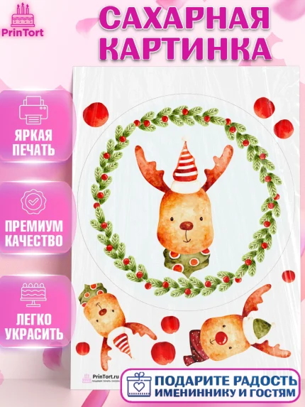 Сахарная картинка, Новый год, Девочка, арт. PT101844