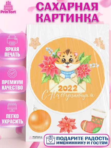 Сахарная картинка, Новый год, Девочка, арт. PT101846