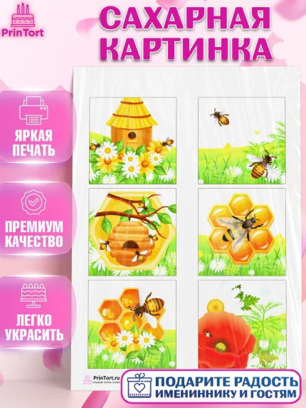 Сахарная картинка, Пчеловод, Пчелы, Мальчик, День рождения, арт. PT102151