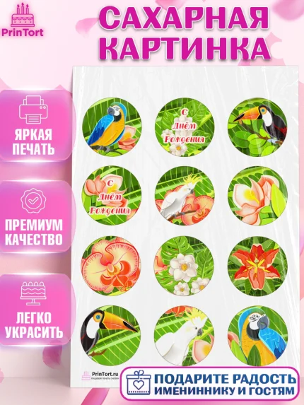Сахарная картинка, Путешествия, Путешественник, Девочка, День рождения, арт. PT102362