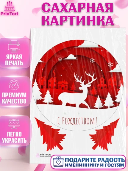Сахарная картинка, Рождество Христово, Новый Год, Девочка, арт. PT102452