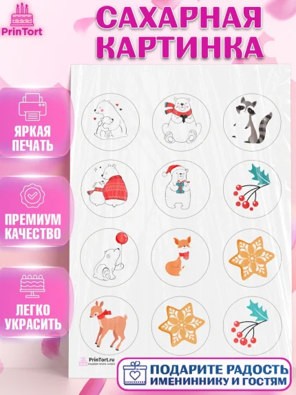 Сахарная картинка, Рождество Христово, Новый Год, Девочка, арт. PT102462