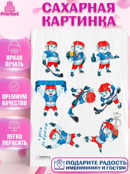 Сахарная картинка, Хоккей, Спорт, Мальчик, День рождения, арт. PT102621