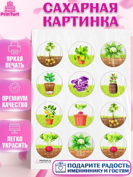 Сахарная картинка, Огород, Дача, Девочка, День рождения, арт. PT103092