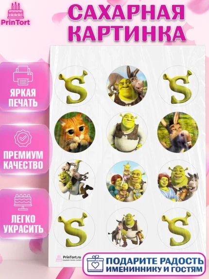 Сахарная картинка, Шрек, Shrek, Девочка, День рождения, арт. PT103223