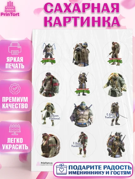 Сахарная картинка, Черепашки-ниндзя, Мальчик, День рождения, арт. PT104348