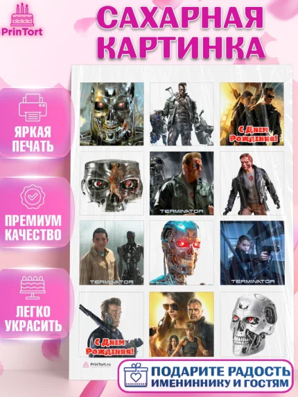 Сахарная картинка, Терминатор, Девочка, День рождения, арт. PT105743