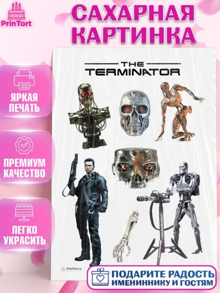 Сахарная картинка, Терминатор, Девочка, День рождения, арт. PT105754