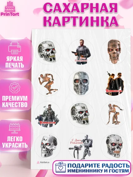 Сахарная картинка, Терминатор, Девочка, День рождения, арт. PT105756