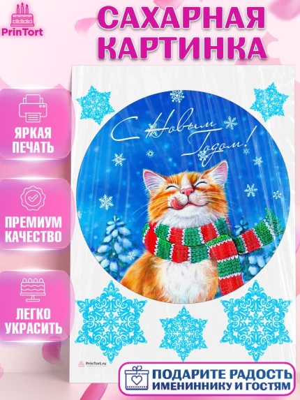 Сахарная картинка, Новый год, Девочка, арт. PT105774