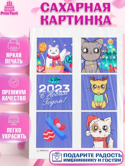 Сахарная картинка, Новый год, Девочка, арт. PT105778