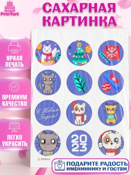 Сахарная картинка, Новый год, Девочка, арт. PT105780