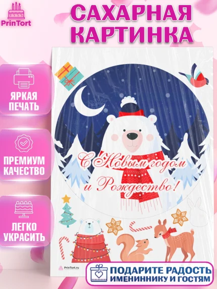 Сахарная картинка, Новый год, Девочка, арт. PT105829