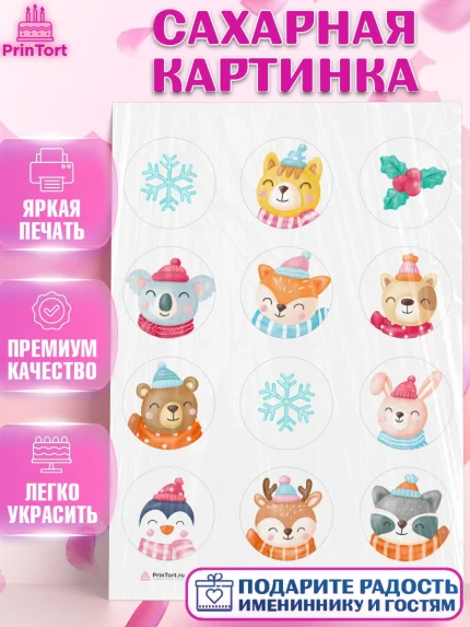 Сахарная картинка, Новый год, Девочка, арт. PT105836