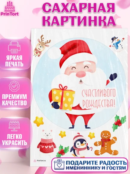 Сахарная картинка, Новый год, Девочка, арт. PT105841