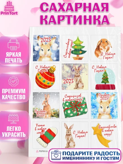 Сахарная картинка, Новый год, Девочка, арт. PT105954