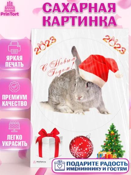 Сахарная картинка, Новый год, Девочка, арт. PT105960