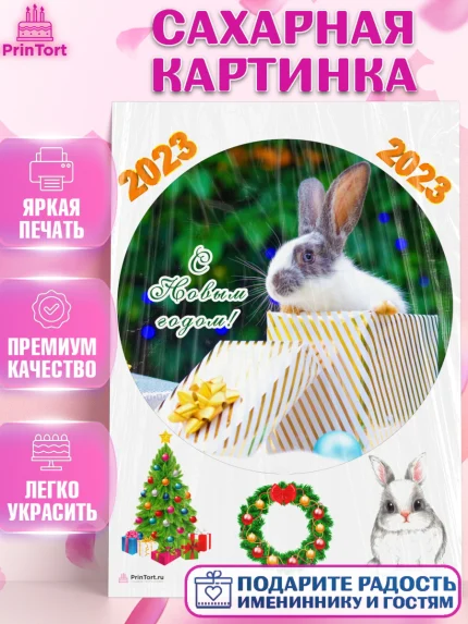 Сахарная картинка, Новый год, Девочка, арт. PT105964