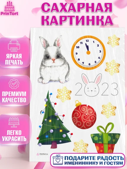 Сахарная картинка, Новый год, Девочка, арт. PT105966