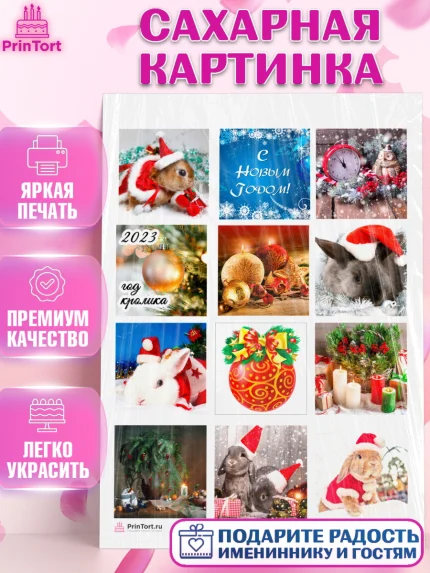 Сахарная картинка, Новый год, Девочка, арт. PT106439