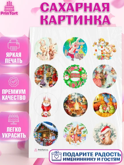 Сахарная картинка, Новый год, Девочка, арт. PT106441