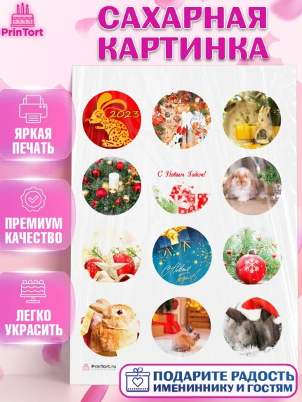 Сахарная картинка, Новый год, Девочка, арт. PT106444