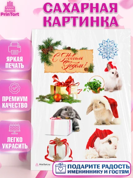 Сахарная картинка, Новый год, Девочка, арт. PT106448