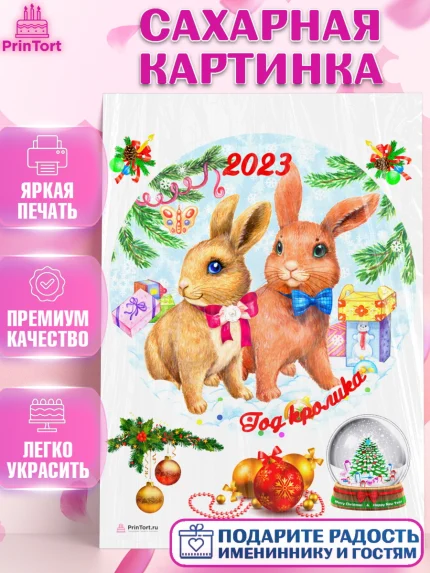 Сахарная картинка, Новый год, Девочка, арт. PT106451