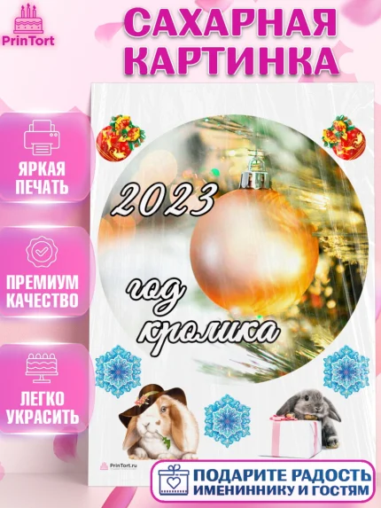 Сахарная картинка, Новый год, Девочка, арт. PT106453