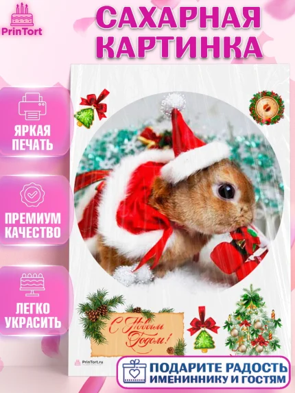 Сахарная картинка, Новый год, Девочка, арт. PT106455