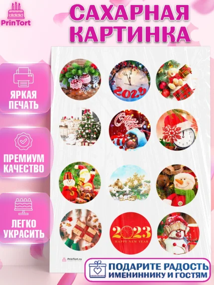 Сахарная картинка, Новый год, Девочка, арт. PT106461
