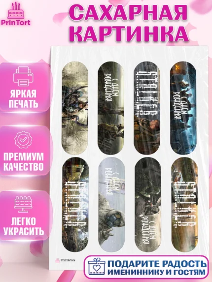 Сахарная картинка, Сталкер, Stalker, Мальчик, День рождения, арт. PT106702