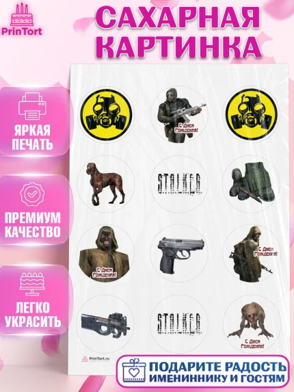 Сахарная картинка, Сталкер, Stalker, Мальчик, День рождения, арт. PT106703