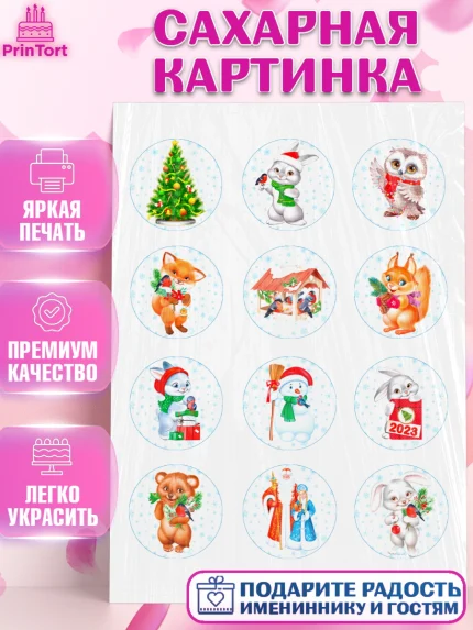 Сахарная картинка, Новый год, Девочка, арт. PT106866