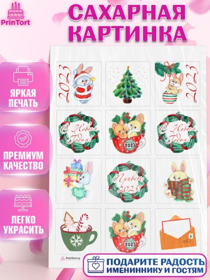 Сахарная картинка, Новый год, Девочка, арт. PT106898
