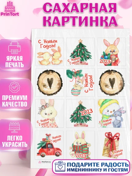 Сахарная картинка, Новый год, Девочка, арт. PT106902