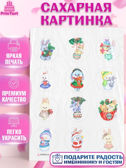 Сахарная картинка, Новый год, Девочка, арт. PT106903