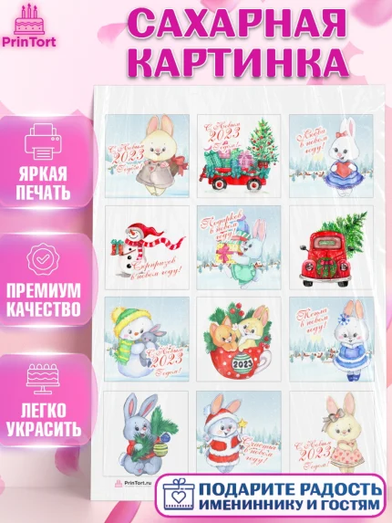 Сахарная картинка, Новый год, Девочка, арт. PT106906
